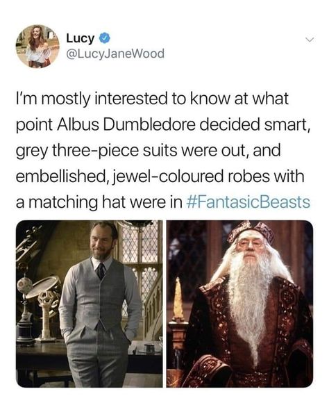 🤣🤣🤣 Elder Wand, Gellert Grindelwald, Harry Potter Memes Hilarious, Make Smile, Harry Potter Jokes, Albus Dumbledore, School Memes, Humor Memes, Harry Potter Universal