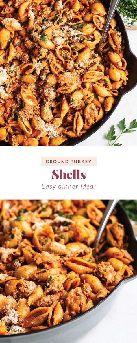 Pasta Recipes With Ground Turkey, Macaroni Shells, Ground Turkey Pasta Recipes, Ground Turkey Recipe, Turkey Sauce, Ground Turkey Pasta, Ground Turkey Recipes Easy, Shell Pasta Recipes, Turkey Pasta