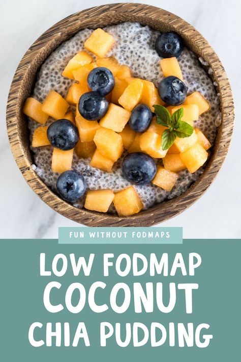 Low FODMAP Coconut Chia Pudding with Cantaloupe | FUN WITHOUT FODMAPS Fodmap Breakfast, Low Fodmap Diet Recipes, Gluten Free Yeast Free, Coconut Chia Pudding, Ibs Recipes, Low Histamine Diet, Coconut Chia, Chia Seed Recipes, Coconut Pudding