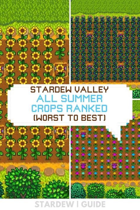 Stardew Valley Summer Crops Layout, Stardew Summer Crops, Stardew Valley Summer Guide, Summer Stardew Valley, Stardew Valley Crop Guide, Stardew Valley Planting Guide, Stardew Valley Summer Crops, Stardew Valley Summer, Summer Crops