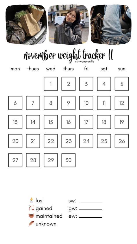 November Tracker, Calorie Tracker, Weight Tracker, Planner Pages, The New York Times, Bullet Journal, How To Plan, Quick Saves