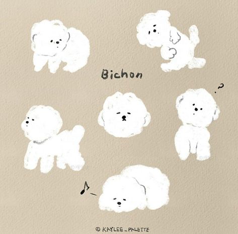 Poodle Puppy Drawing, Bichon Wallpaper, Bichon Drawing, Bichon Illustration, Bichon Dog, Puppy Drawing, Dog Logo, 강아지 그림, Ap Art