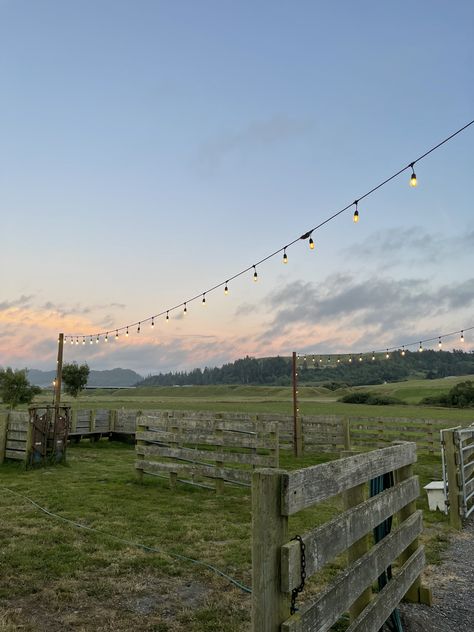 california, Northern California, sunset, farm, field, ferndale, ranch, hills, greenery California Nature Aesthetic, Northern California Aesthetic, California Cowgirl, Ranch Aesthetic, California Countryside, California Farm, Western Wild, Country Aesthetic, California Ranch