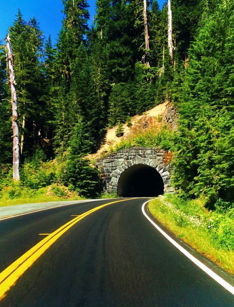 Tunnel on Chinook Pass Highway on a Mt Rainier National Park road trip: stop at Silver Falls Ink Reference, Penthouse Apartment Exterior, Road Tunnel, Luxury Island, The Palouse, Cliff Edge, Mountain Roads, Mt Rainier National Park, Apartment Exterior