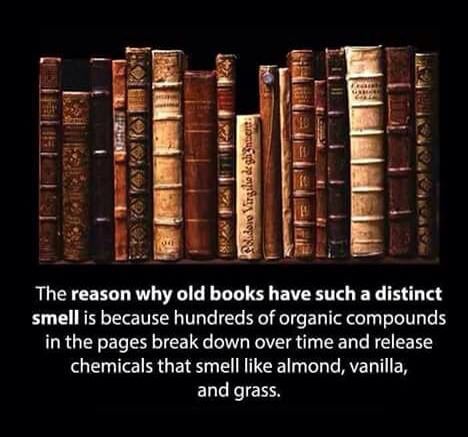 This I learned a couple days ago due to Mathew Santoro...that smell tho Smell Of Old Books, I Love Reading, Old Book, Photo Photo, Book Addict, Book Shelf, Book Nooks, Old Books, Book Humor