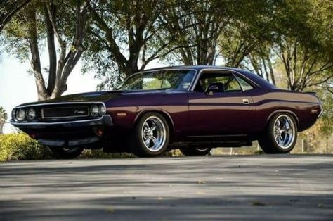 Mostly Mopar Muscle Dodge Challenger Custom, 70 Challenger, 1970 Dodge Challenger, Dodge Chargers, Dodge Muscle Cars, Muscle Cars For Sale, Mopar Cars, Mopar Muscle Cars, Mustang Cobra