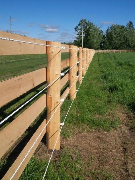 Horse Pasture Fencing, Horse Fencing Ideas, Horse Fence Ideas, Horse Fence, Horse Farm Ideas, Horse Barn Ideas Stables, Horse Barn Designs, Horse Shelter, Horse Barn Plans