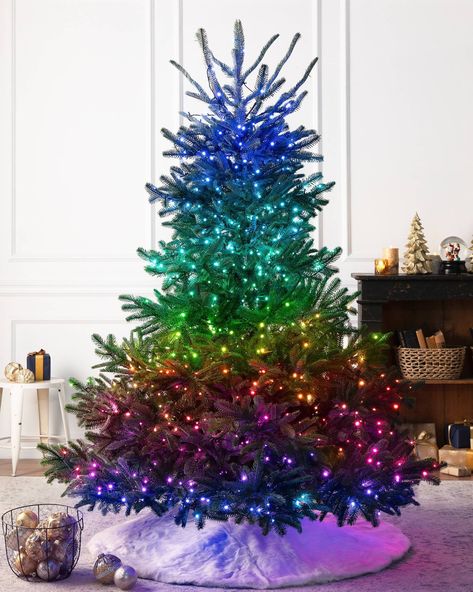 Balsam Hill Christmas Tree, Best Artificial Christmas Trees, Realistic Artificial Christmas Trees, Traditional Light, Fir Christmas Tree, Twinkly Lights, Wreath Garland, Christmas Tree Accessories, Balsam Hill