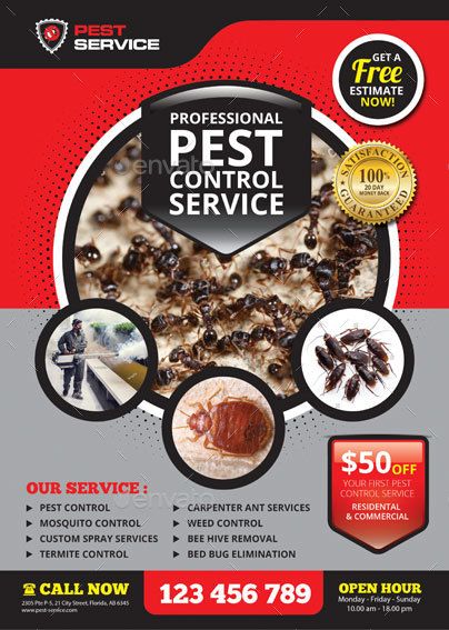 Pest Control Advertising, Fumigation Flyer, Pest Control Logo, Home Pest Control, Fumigation Services, Bee Safe, Flea And Tick Spray, Mice Repellent, Organic Gardening Pest Control