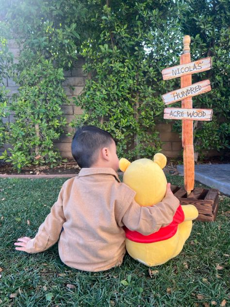 Winnie the pooh at home photo shoot.  How cute is this??? I printed the sign from Etsy . At Home Photo Shoot, Pooh Party, Home Photo Shoots, Hundred Acre Woods, Home Photo, Winnie The Pooh, Photo Shoot, At Home, Wood