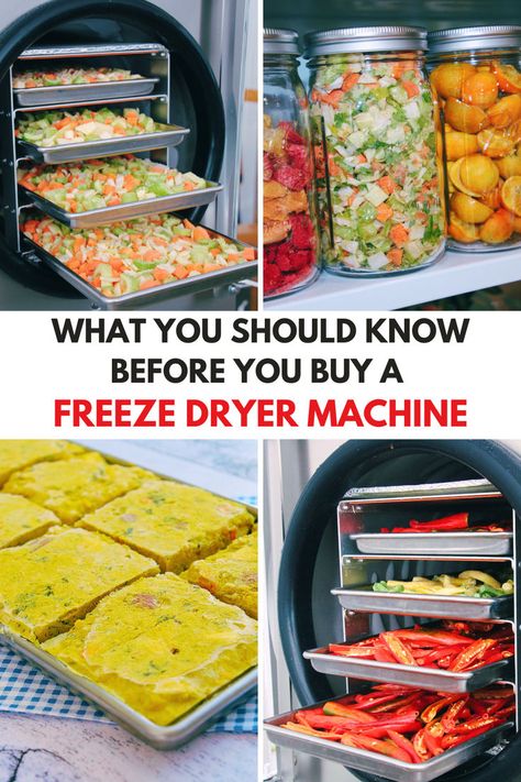 Various foods being preserved using a freeze dryer machine, showcasing the process and results of freeze drying for long-term food storage. Food Dryer Recipes, Harvest Right Freeze Dryer Cheat Sheet, Freeze Dryer Machine, Freeze Dryer Setup, Freeze Dryer Ideas, Harvest Right Freeze Dryer Recipes, Freeze Dryer Recipes, Homestead Lifestyle, Harvest Right Freeze Dryer