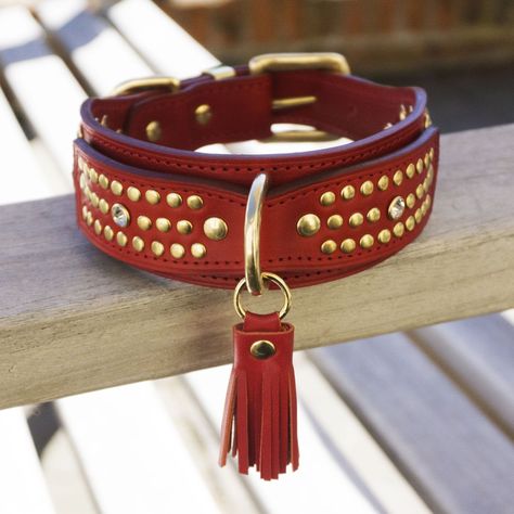 Matching Set Luxury Dog Collar & Dog Lead in Red Naturally Tanned Leather, Solid Brass Hardware, Crystals and Detachable Tassels - Etsy UK Western Dog Collars, Gold Dog Collar, Spiked Dog Collar, Dog Collar Charms, Velvet Dog Collar, Red Dog Collar, Wedding Dog Collar, Leather Dog Collar Custom, Paracord Dog Collars