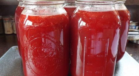 Homemade Juice Concentrate, Drink Concentrate Recipe, Canning Drink Concentrate, Canning Beverages, Lemonade Concentrate Canning, Lemonade Concentrate Recipe, September Meals, Canning Garden, Homestead Canning