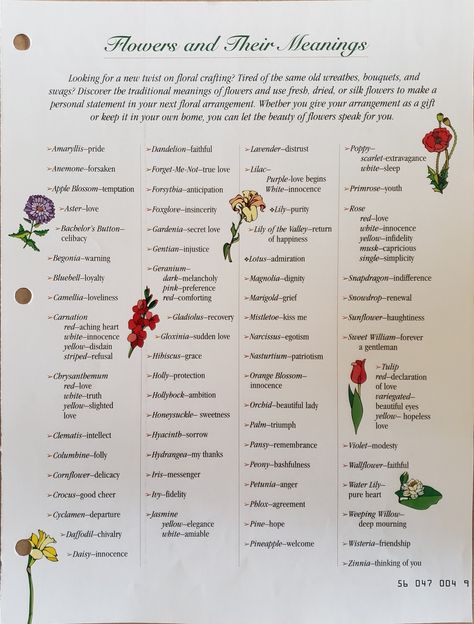 Foxglove Flower Meaning, Foxglove Meaning, Primrose Meaning, Wildflower Meaning, Lupine Flowers, Flower Guide, Flower Meanings, Diy Home Decor Ideas, Language Of Flowers