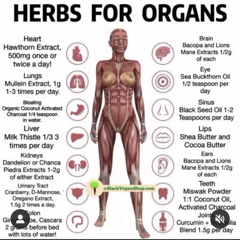 Benefits Of Herbs, Pure Life, Nutrition Sportive, Herbal Healing, Herbs For Health, Massage Room, Healing Food, Homemade Remedies, Diy Health