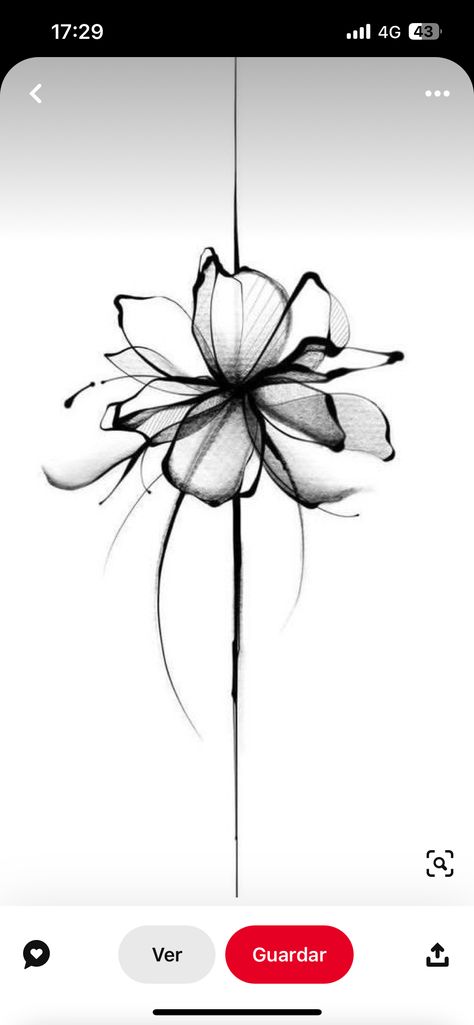 Xray Flower Tattoo, Hibiscus Sketch, Xray Flower, Flow Logo, Hibiscus Tattoo, Flower Images, Art Drawings Sketches, Drawing Sketches, Flower Tattoo