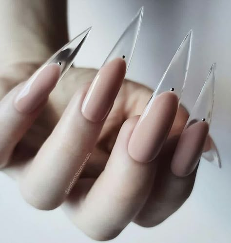 https://www.pinterest.nz/pin/664421751252582003/ Stiletto Nail Art, Art Design Ideas, Gothic Nails, Stiletto Nails Designs, Instagram Nails, Popular Nails, Beautiful Nail Designs, Minimalist Nails, Nail Shapes