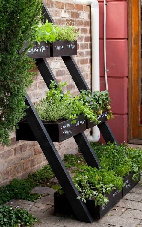 Cedar vertical tiered ladder garden planter Garden Ladder Ideas, Ladder Planter, Diy Garden Decor Projects, Ladder Ideas, Garden Ladder, Outdoor Herb Garden, Apartment Balcony Garden, Succulent Landscape Design, Small Balcony Garden