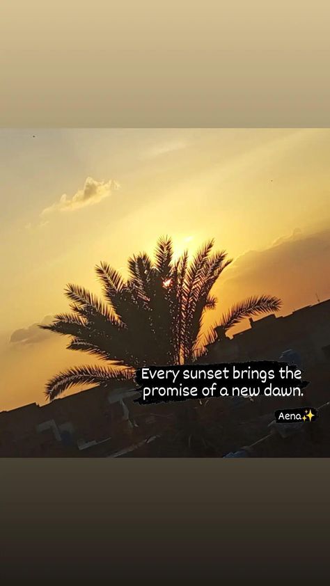 Evening quotes|sunset| trees|evening time|vibes|∆ Evening Vibes Quotes, Evening Quotes Sunset, Evening Vibes, Sunset Trees, Evening Quotes, Evening Time, Easy Christmas Treats, Vibe Quote, Caption Quotes