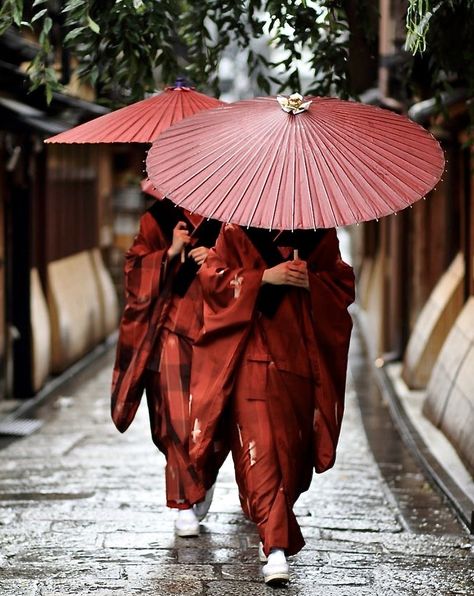 Japanese Umbrella, Red Kimono, Memoirs Of A Geisha, Umbrella Art, Red Umbrella, Japan Woman, Japan Aesthetic, Aesthetic Japan, Japanese Aesthetic