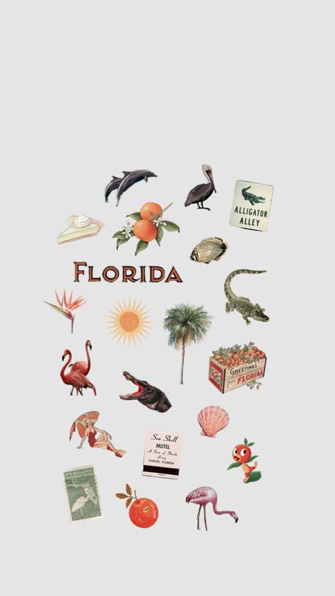 Old florida vibes Florida Sign Aesthetic, Florida Stickers Aesthetic, Florida Wallpaper Iphone, Florida Astethic, Florida Symbols, Florida Clipart, Old Florida Aesthetic, Florida Aesthetic Wallpaper, Florida Inspired Tattoo