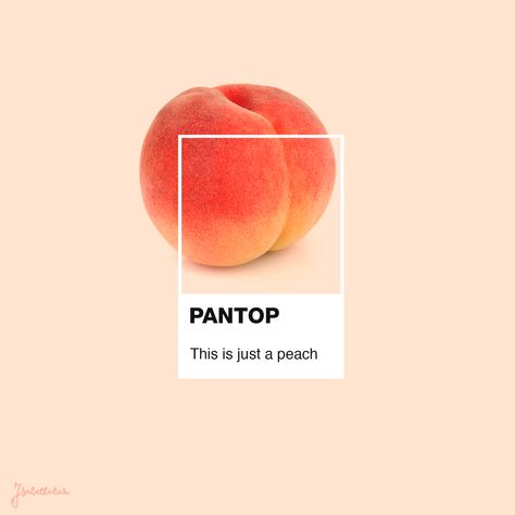 pantop-isabella-montan-15 Pantone Design Graphics, Culture Inspiration, Pantone Palette, Color Pantone, Pantone Colour Palettes, Peach Aesthetic, Colour Pop, Black Women Art, Pantone Color