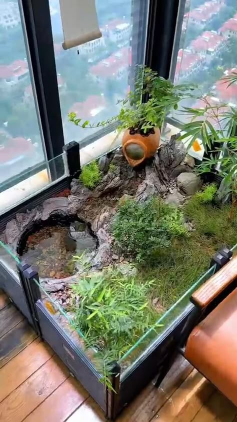 Aquatic Garden Indoor, Diy Turtle House, Outdoor Aquatic Turtle Habitat, Terrapin Tank Ideas, Turtle Enclosure Ideas, Indoor Ponds Ideas, Water Turtle Tank Ideas Indoor, Turtle Cages, Turtle Enclosure Indoor