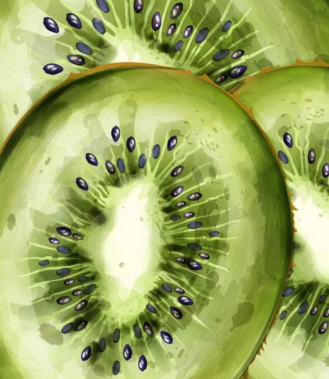 Natural Forms Fruit, Kiwi Watercolor Painting, Kiwi Acrylic Painting, Watercolour Natural Forms, Natural Forms Painting, Fruit Close Up, Natural Forms Drawings, Close Up Drawings, Close Up Paintings