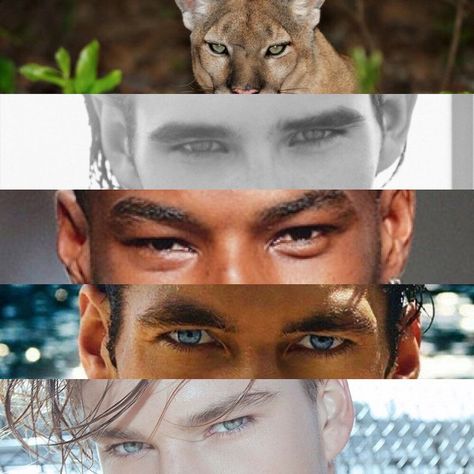 Hunter (Predator) Eyes vs Prey Eyes in Humans: What Is It And How To Get It Hunter Eyes, Parts Of An Eye, Good Jawline, Baggy Eyes, Chiseled Jawline, Jesus Son Of God, Double Chin Exercises, Big Nose Beauty, Anime Hunter