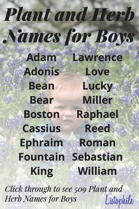 509 Plant and Herb Names for Boys, featuring masculine botanical names. These male names include unique names based on plants. Click through to see more Plant and Herb Boy Names. Plant Names For Boys, Nature Names For Boys, Herb Names, Weather Names, Scene Writing Prompts, Plant Guy, Botanical Names, Sims Names, Nice Sayings