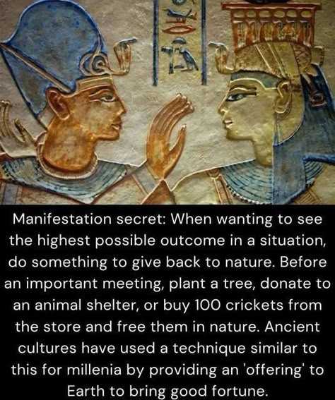 Kemetic Spirituality, Energy Healing Spirituality, Awakening Quotes, Spiritual Manifestation, Ancient Knowledge, Knowledge And Wisdom, Spiritual Wisdom, Manifestation Affirmations, Ancient Cultures