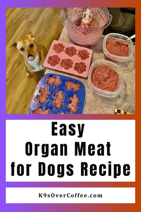 Feist dog about to eat an organ meat treat for dogs Raw Meat For Dogs, Raw Meat Diet For Dogs, Homemade Raw Dog Food, Venison Dog Food, Dog Food Recipes Crockpot, Chicken Liver Recipes, Organ Meat, Dog Food Recipe, Cook Dog Food