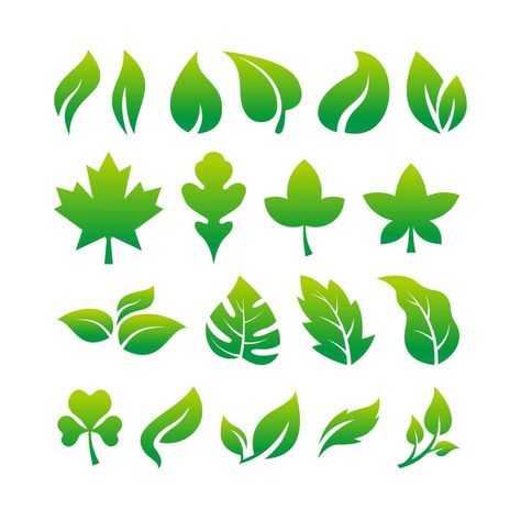 Set of Simple Fresh Green Leaf Icon Illustration Design, Various Leaves Collection Template Vector Leaf Icon, Leaf Vector, Leaves Vector, Fresh Green, Green Leaf, Icon Illustration, Green Leaves, Vector Art, Illustration Design