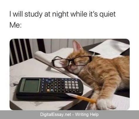 #essay #essaywriting #essaytips #essayhelp #essayontime #college #homework #memes #humor #writingpaper #collegehumor #essayhumor Essay Transitions, Homework Meme, Argumentative Essay Topics, Accounting Humor, College Memes, Funny Sms, Funny Friday Memes, Cat Jokes, Essay Prompts