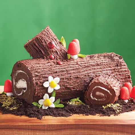 Woodland Cake. Roulade cake with chocolate frosting and creme filling. Swiss Roll Birthday Cake, Roll Birthday Cake, Roulade Cake, Gruffalo Party, Woodland Fairy Party, Woodland Party Theme, Diy Birthday Cake, Woodland Cake, Forest Birthday