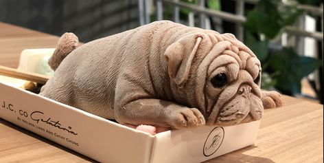 These Dog-Shaped Ice Cream Treats Are Freaking People Out Puppy Ice Cream, Cake For Dogs, French Bulldog Mix, French Bulldog Facts, Dog Ice Cream, Grilled Teriyaki Chicken, Frozen Dog, Lemon Chicken Orzo Soup, Cold Treats