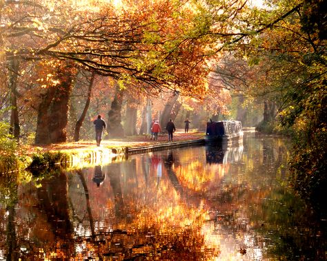 Beautiful golden leaves epitomise Autumn for us! Autumn In England, Barge Boat, Canal Barge, Water Photos, Canal Boat, Art Class, Early Morning, Free Stock Photos, Stock Images Free