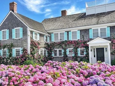 Hydrangea Care, Hydrangea Garden, Fine Living, Inspire Me Home Decor, Climbing Roses, Spring Vibes, Décor Diy, Summer Garden, Nantucket