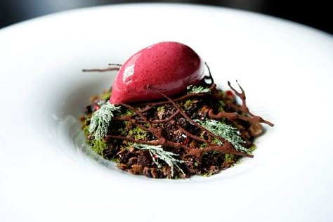 Sydney chef Martin Benn’s ‘Summer Chocolate Forest’ could easily pass for dirt, twigs and moss. Australian Restaurant, Masterchef Australia, Sydney Restaurants, Plated Desserts, Best Dishes, Food Presentation, Food Guide, Best Restaurants, Food Design