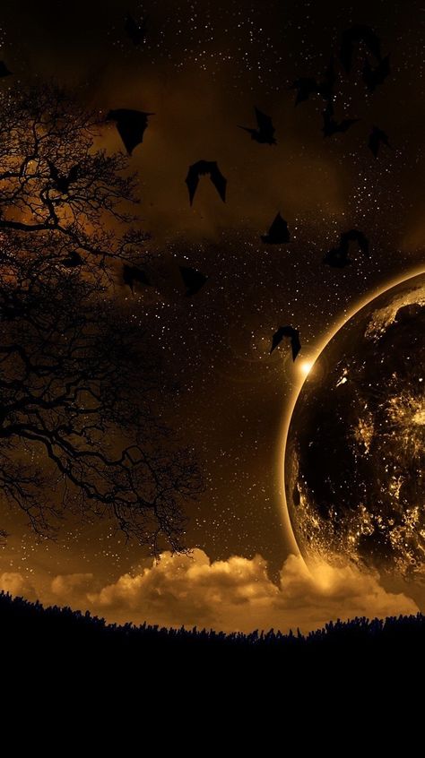 Golden moon Dark Side Of Moon, Starry Night Wallpaper, Hd Landscape, Lovely Good Night, Golden Wallpaper, Popular Wallpapers, Dark Black Wallpaper, Golden Moon, Nature Iphone Wallpaper