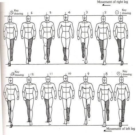 Walk Cycle Reference, Animation Cycle, Drawing Walking, Animation Walk Cycle, Walking Animation, Paracord Handle, Walking Poses, Walk Cycle, Wrap Tutorial