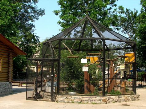 Raccoon Zoo Enclosure, Planet Zoo Enclosure, Zoo Enclosures Ideas, Raccoon Habitat Ideas, Wildlife Rehabilitation Enclosures, Raccoon Enclosure Ideas, Farm Enclosures, Pet Raccoon Enclosure, Zoo Enclosure Design