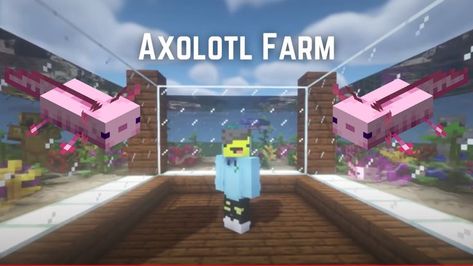 https://www.youtube.com/watch?v=fXAaE8siCno&t=2s Cute Axolotl Enclosure Minecraft, Minecraft Axolotl Enclosure, Axolotl Farm Minecraft, Axolotl Minecraft Habitat, Axolotl Tank Ideas Minecraft, Axolotl Minecraft Build, Axolotl Tank Minecraft, Axolotl Pond Minecraft, How To Breed Axolotls In Minecraft