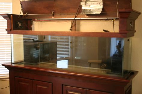 Wood Fish Tank canopy | Thread: Show Off Your Custom Wood Canopies and Stands Aquarium Canopy Diy, Aquarium Furniture, Diy Aquarium Stand, Aquarium Hood, 75 Gallon Aquarium, Saltwater Aquarium Setup, Custom Aquarium, Aquarium Stands, Fish Tank Stand