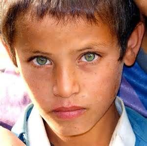 Beautiful Afghan child boy Afghan Eyes, Afghan People, Unique Eyes, Africa History, Hazel Green Eyes, Green Eyed Monster, Grey Eyes, Red Curly Hair, Most Beautiful Eyes