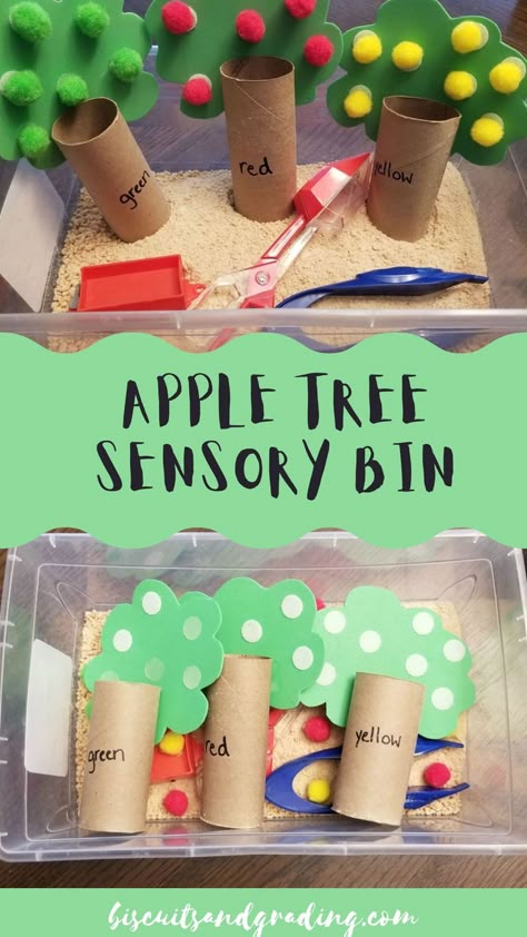 Fall Sensory Bins For Preschool, Apple Orchard Sensory Bin, Tree Unit Sensory Table, Apple Tree Sensory Bin, Apple Theme Sensory Table, Classroom Sensory Table, Sensory Apple Activities, Tree Study Sensory Bin, Fall Theme Sensory Bin