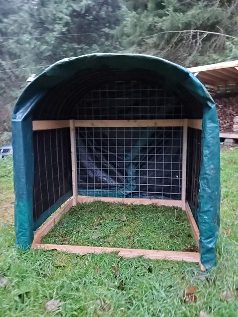 Shelters For Goats, Homemade Goat Shelter, Cattle Panel Coop, Dog Rain Shelter Diy, Animal Shelters Diy, Diy Mini Horse Shelter, Diy Animal Shelter Ideas, Trampoline Animal Shelter, Outdoor Dog Shelter Diy