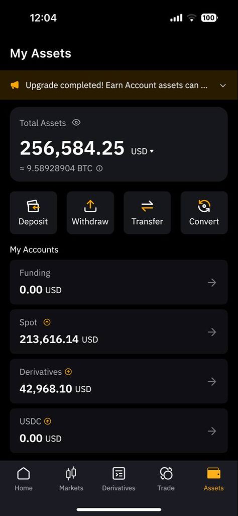 Crypto Money Aesthetic, Binance Crypto Trading, Crypto Account Balance, Trading Account Balance, Bitcoin Account Balance, Binance Wallet Balance, Money In Account, Big Bank Account Balance, Btc Format For Client