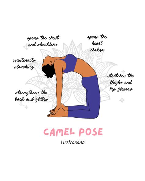 Camel Pose Yoga, Yoga Words, Yoga Cartoon, Aerial Yoga Poses, Yoga Progress, Camel Pose, Easy Yoga Workouts, Pose Yoga, Aerial Yoga