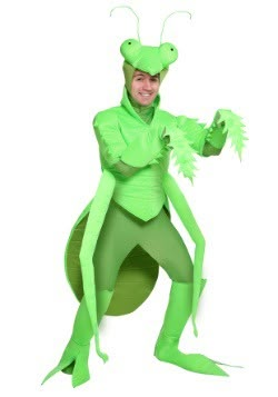 Insect & Bug Costumes for Kids & Adults - HalloweenCostumes.com Praying Mantis Costume, Mantis Costume, Carnaval Kids, Weird Costumes, Bug Costume, Man Praying, Crazy Costumes, Ghost And Pals, Funny Costumes